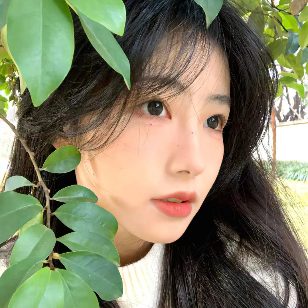蛇气